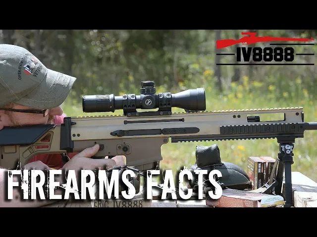 firearms facts: what is a dmr?